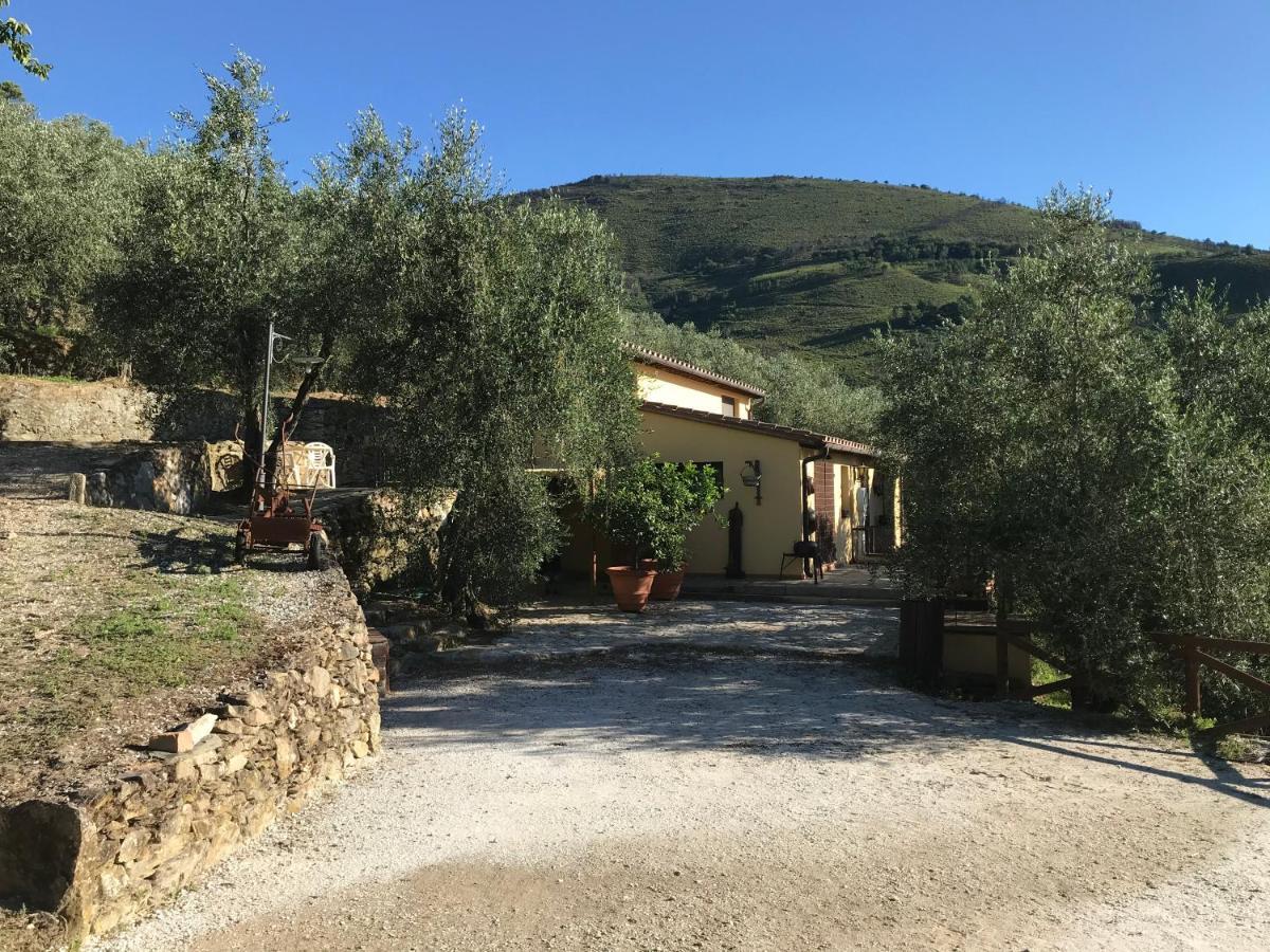 Agriturismo Campo Dei Lupi Villa Vicopisano Buitenkant foto