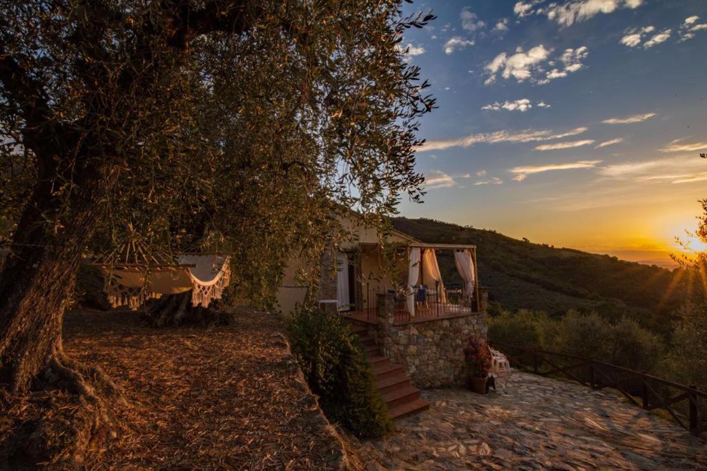 Agriturismo Campo Dei Lupi Villa Vicopisano Buitenkant foto