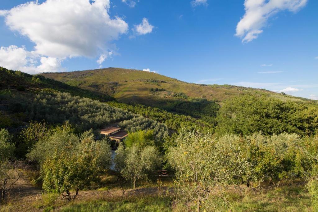 Agriturismo Campo Dei Lupi Villa Vicopisano Buitenkant foto