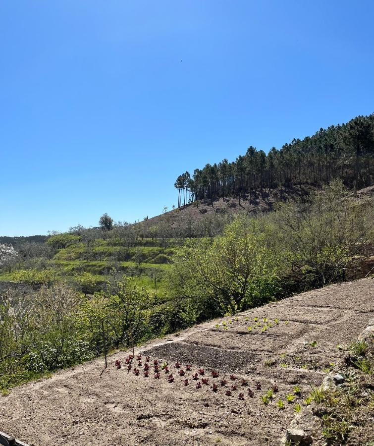 Agriturismo Campo Dei Lupi Villa Vicopisano Buitenkant foto