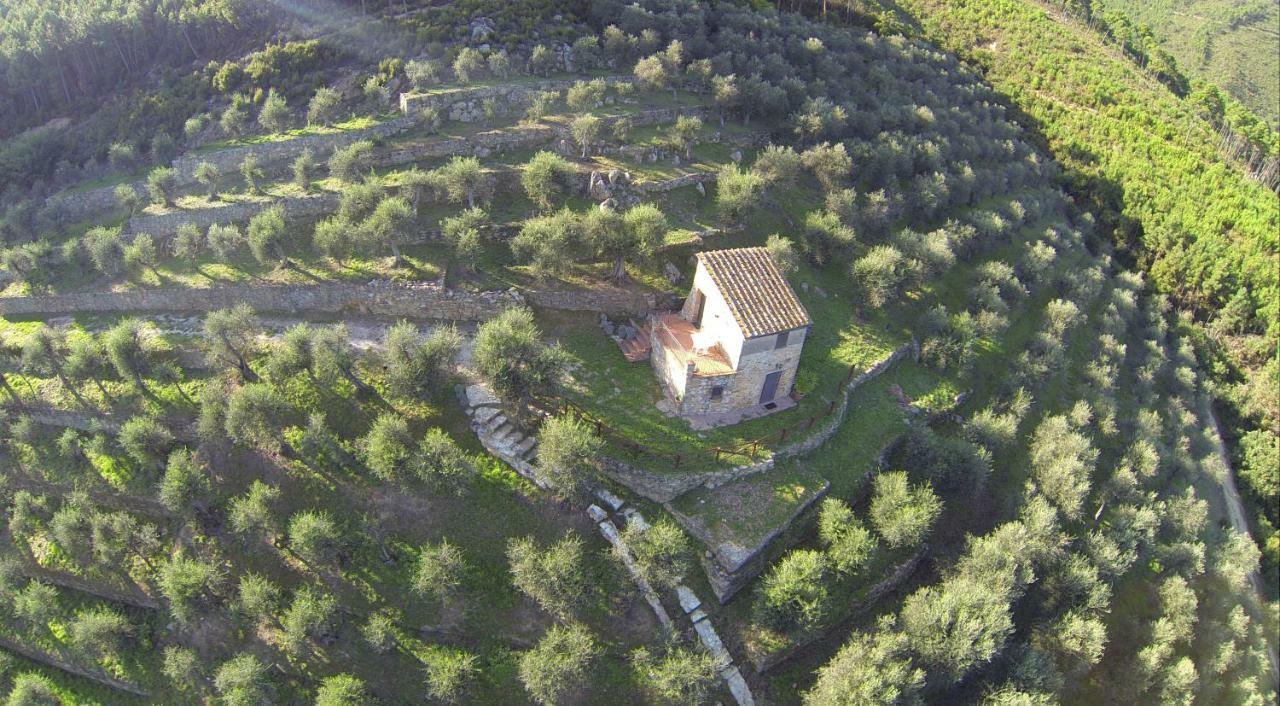 Agriturismo Campo Dei Lupi Villa Vicopisano Buitenkant foto