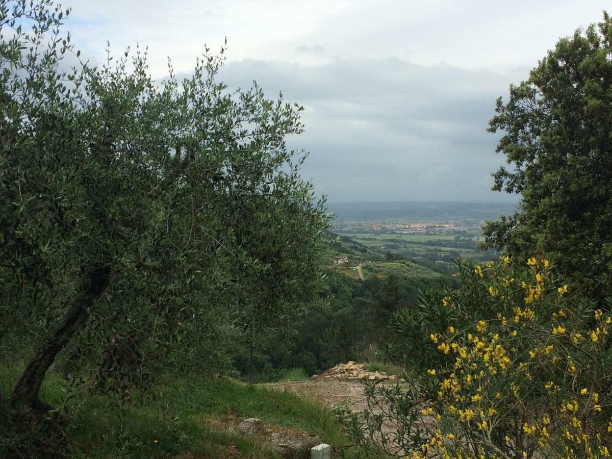 Agriturismo Campo Dei Lupi Villa Vicopisano Buitenkant foto