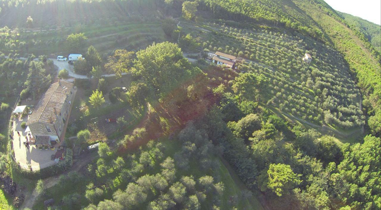 Agriturismo Campo Dei Lupi Villa Vicopisano Buitenkant foto